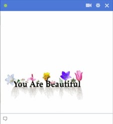 you are beautiful facebook emoticon