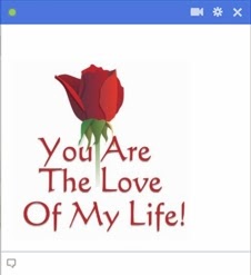 you are the love of my life facebook emoticon