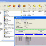 Internet_Download_Manager-12763.gif