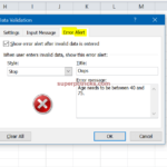 Microsoft Excel data validation